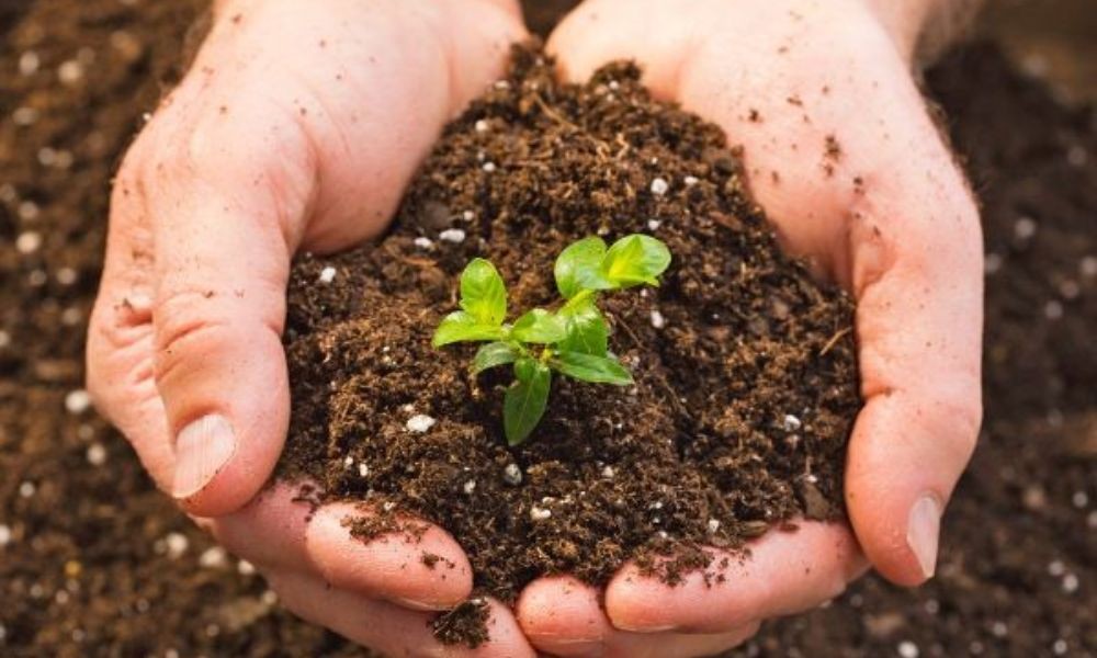 Giá phân vi sinh được thay đổi tùy thuộc vào nhà cung cấp và thị trường, theo Xe Tải Mỹ Đình