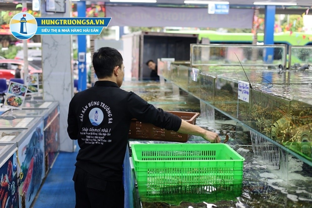 Địa chỉ mua tôm hùm uy tín
