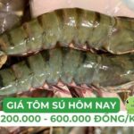 Giá Tôm Sú Loại Nhỏ 30-40 Con/Kg Tại Chợ Đầu Mối Hà Nội