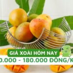 Giá xoài hôm nay tại Mỹ Đình dao động tùy loại và chất lượng, từ 30.000 đến 200.000 VNĐ/kg