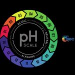 pH của nước ao nuôi tôm ảnh hưởng đến NH3