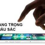 Thiết kế cạnh phẳng sang trọng của iPhone 13 Pro Max