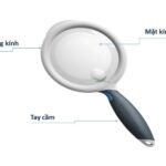 Kính lúp cầm tay với tay cầm bằng gỗ và thấu kính trong suốt