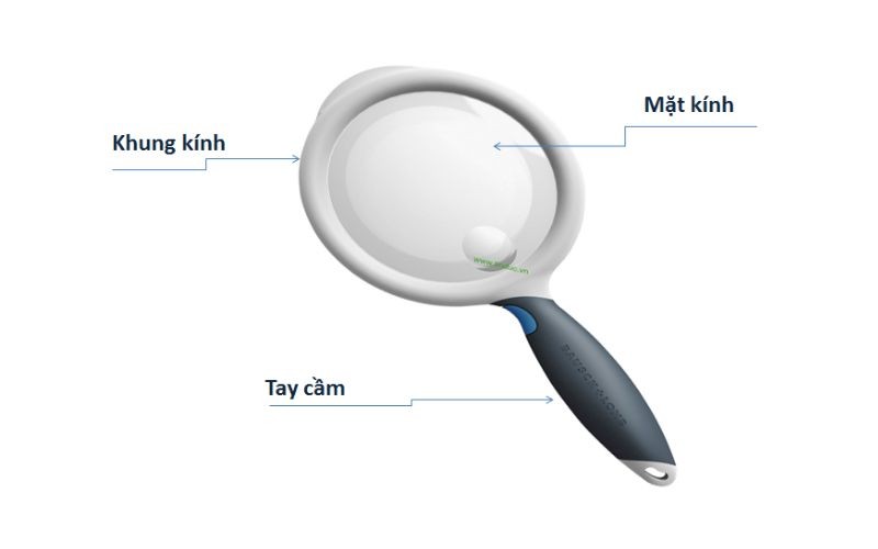 Kính lúp cầm tay với tay cầm bằng gỗ và thấu kính trong suốt
