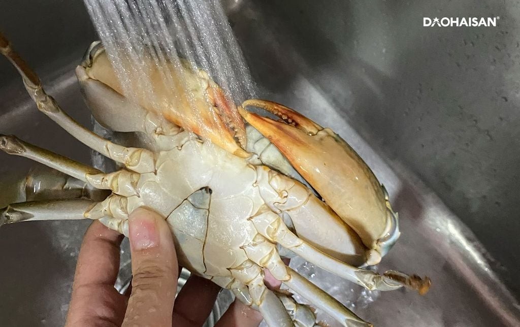 Chọn cua gạch chắc thịt bằng cách bóp yếm