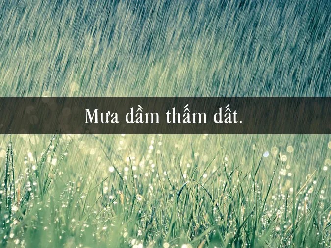 Hình ảnh minh họa đào tạo lái xe tải chuyên nghiệp