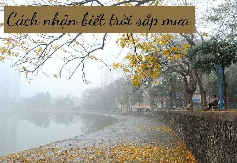 Mưa đá gây thiệt hại cho nông nghiệp