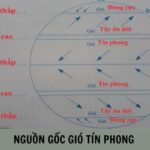 Nguồn gốc hình thành gió tín phong, thổi từ áp cao cận nhiệt đới về áp thấp xích đạo