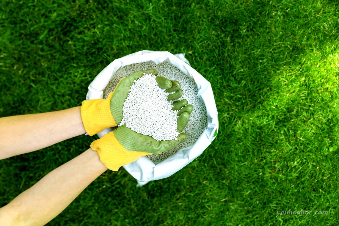 Sử dụng phân bón vi sinh hiệu quả