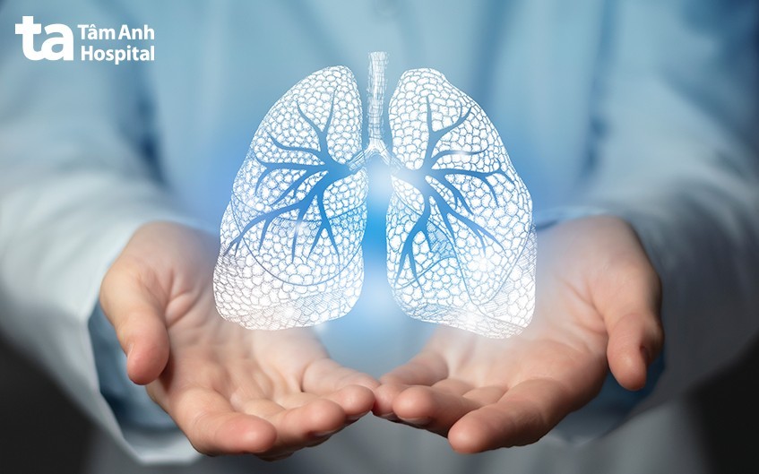 Phổi có cấu tạo phức tạp và chức năng quan trọng