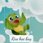 Chú rùa nhỏ bé với ước mơ lớn lao