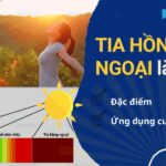 William Herschel phát hiện ra tia hồng ngoại