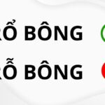 Trổ bông lúa vàng óng ả, báo hiệu mùa bội thu