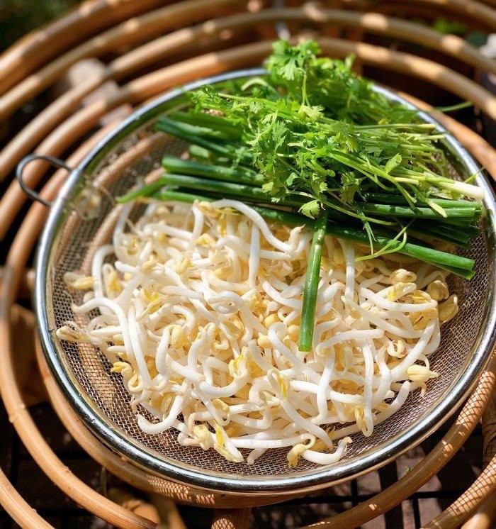Các món ăn ngon và bổ dưỡng từ giá đỗ