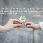 Tình mẫu tử thiêng liêng trong thơ ca
