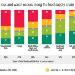 Nguồn: Phân tích của WRI dựa trên FAO (2011b).