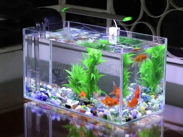 Các yếu tố ảnh hưởng đến giá thành của bể thủy sinh