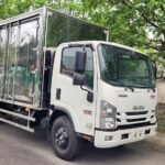 NQR 550 mở 8 cửa sàn gỗ