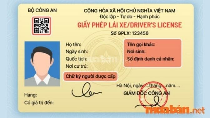 Giấy phép lái xe quan trọng cho tài xế xe tải