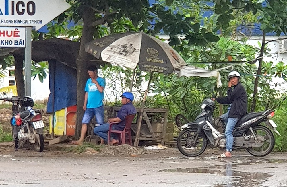 Chim lợn giao thông theo dõi cảnh sát giao thông và thanh tra giao thông tại Quận 9 để báo cho xe tải vi phạm đường cấm.