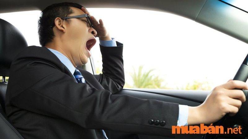 Sức khỏe và sự tập trung quan trọng với tài xế
