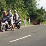 Người dân địa phương giúp đỡ bắt lợn rơi xuống đường.