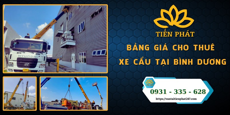 Crane rental price list in Binh Duong