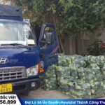 Xe tải nhỏ chở rau củ quả tươi ngon