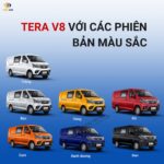 Các phiên bản màu sắc của xe van Tera V8