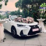 Xe bán tải vận chuyển hàng hóa