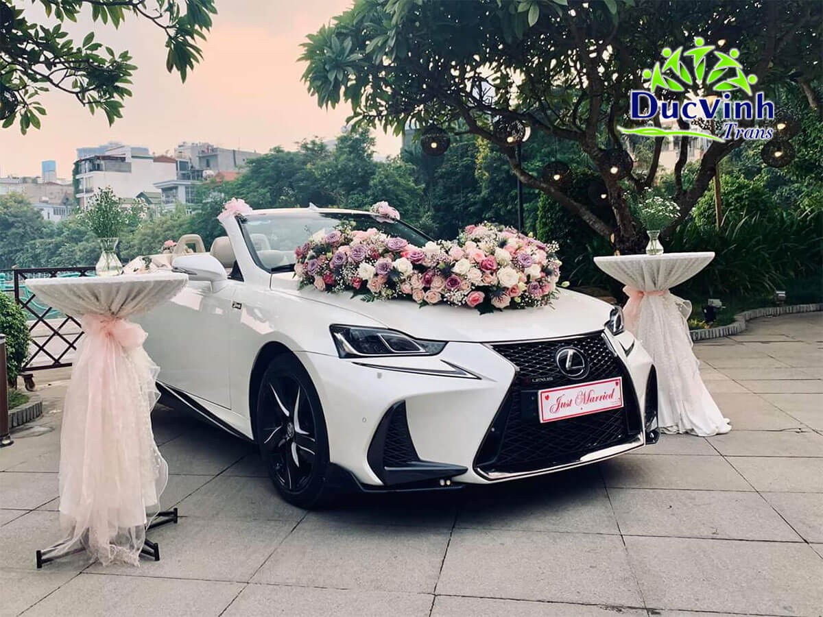 Xe bán tải vận chuyển hàng hóa