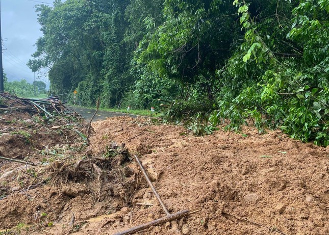 Deslizamento de terras e árvores na estrada