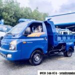 ảnh nền xe tải daewoo 3d hình con hổ