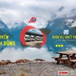 Dịch vụ chuyển nhà trọn gói Quận 8 chuyên nghiệp