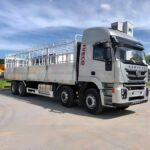 Camion 4 Assi a Rate: La Scelta Intelligente per la Tua Azienda