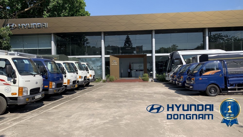 Sorgfältige Prüfung eines gebrauchten Hyundai Pritschenwagens vor dem Kauf zur Qualitätssicherung