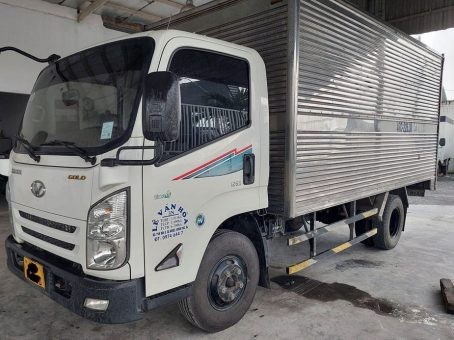 Used 2019 Do Thanh IZ65 closed van truck side view