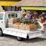 Xe tải nhỏ chở trái cây tươi
