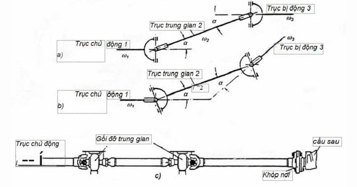Hoạt động của bán trục xe ô tô