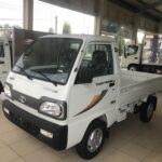 towner800