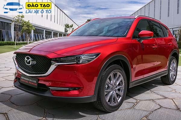 Xe bán tải 2 cầu off-road