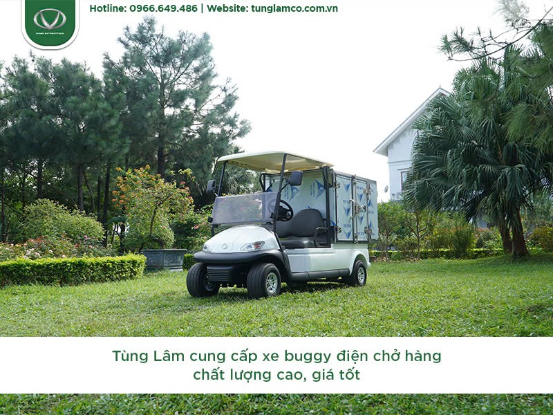 Variedad de modelos de buggy eléctricos de carga Tùng Lâm