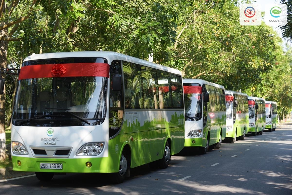 Xe buýt Ecopark – Phương tiện di chuyển lý tưởng đến công viên Mùa Xuân