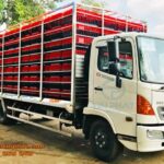 Xe chở gia cầm Hino 4 tấn - thùng xe thông thoáng