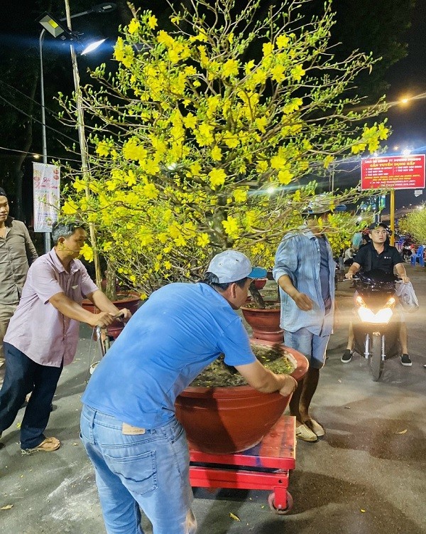 Ứng dụng xe nâng mặt bàn 1000kg trong nhà vườn