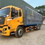 Xe tải chanan Dongfeng 3 chân 270HP
