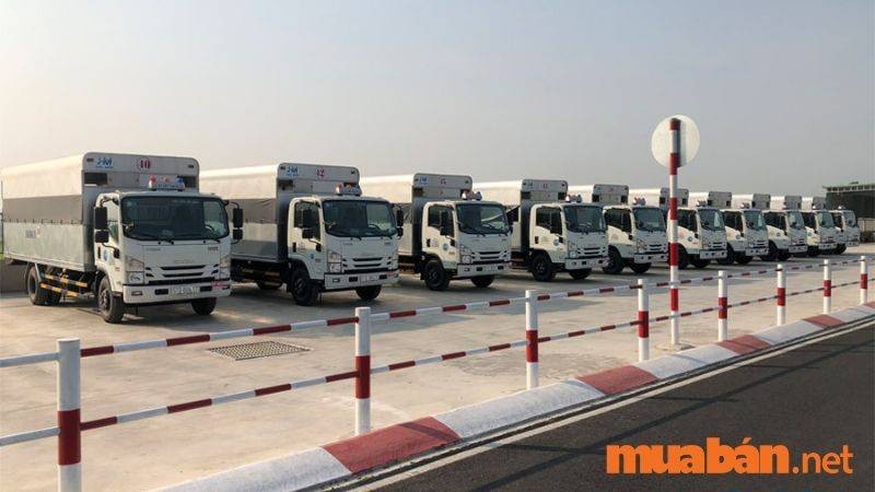 Cơ hội việc làm lái xe tải tại Quận 12