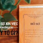 Hồ sơ xin việc lái xe