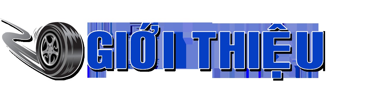 alt text: Hình ảnh tổng quan xe ben 3 cầu Trường Giang