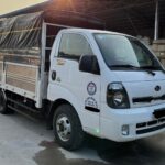 Hyundai Porter cũ